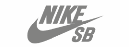 Nike SB