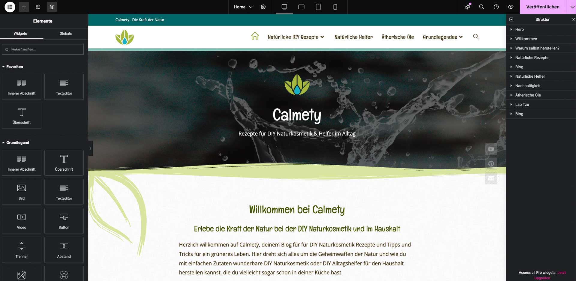 Calemty WordPress mit dem Elementor